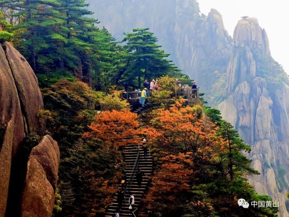 黄山秋景图鉴!秋天的颜色这里都有!