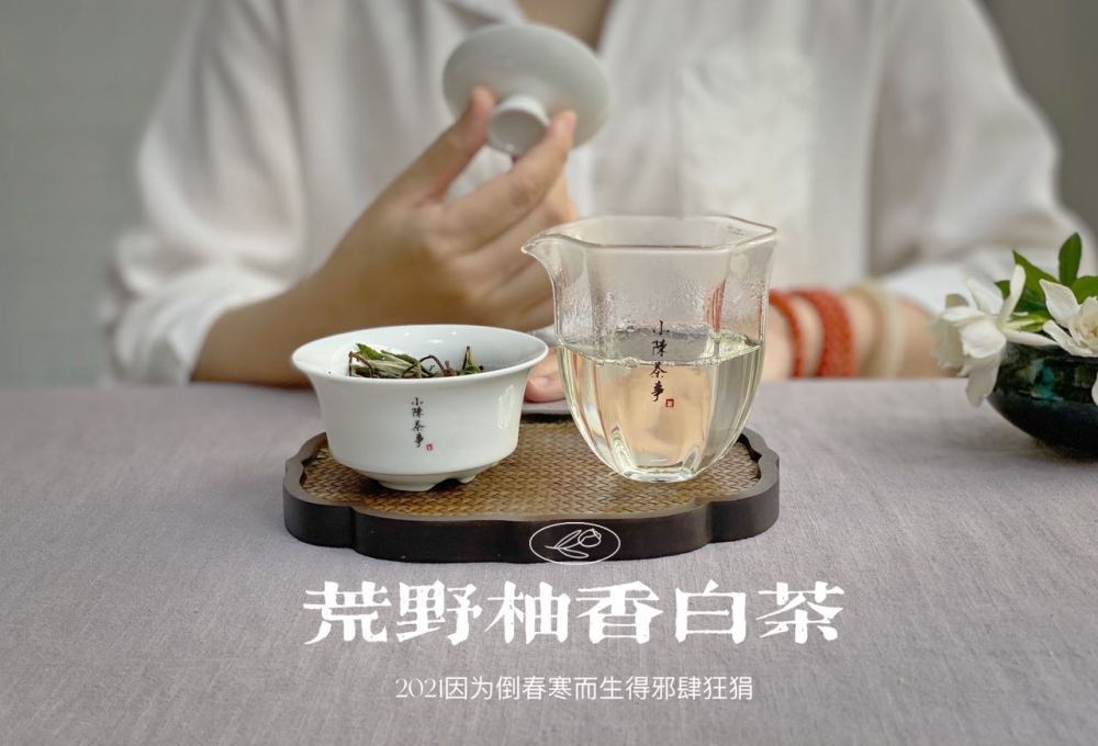 听说老茶客都是这么闻茶香的绿茶红茶白茶都能用