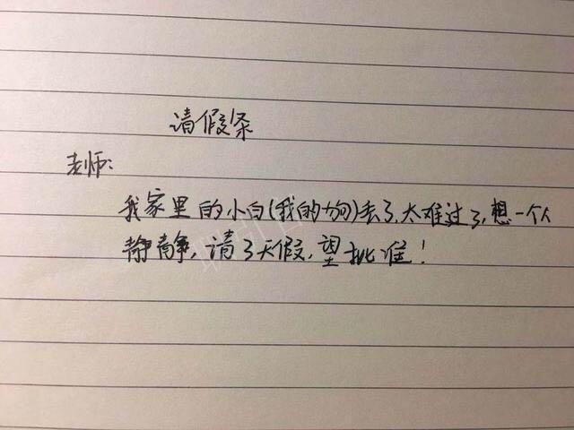 小学生请假条太搞笑老师都不忍心拆穿网友你是来搞笑的吧