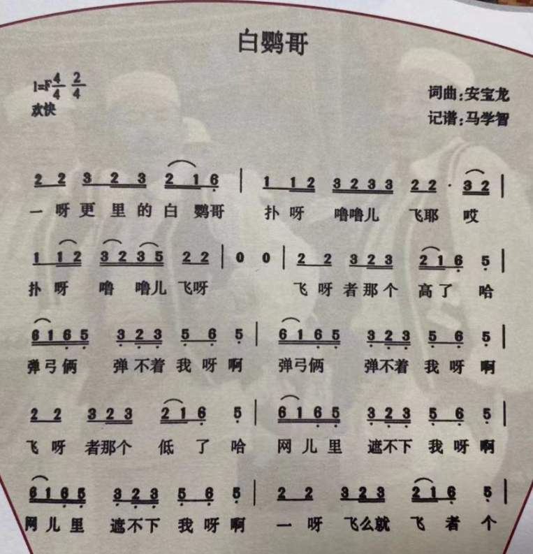 油菜花简谱_油菜花简笔画(2)