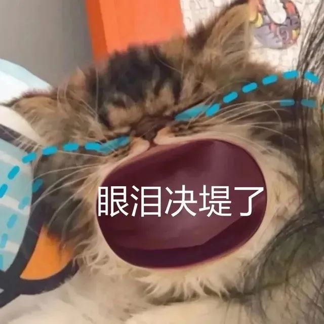 猫咪张大嘴哭表情包