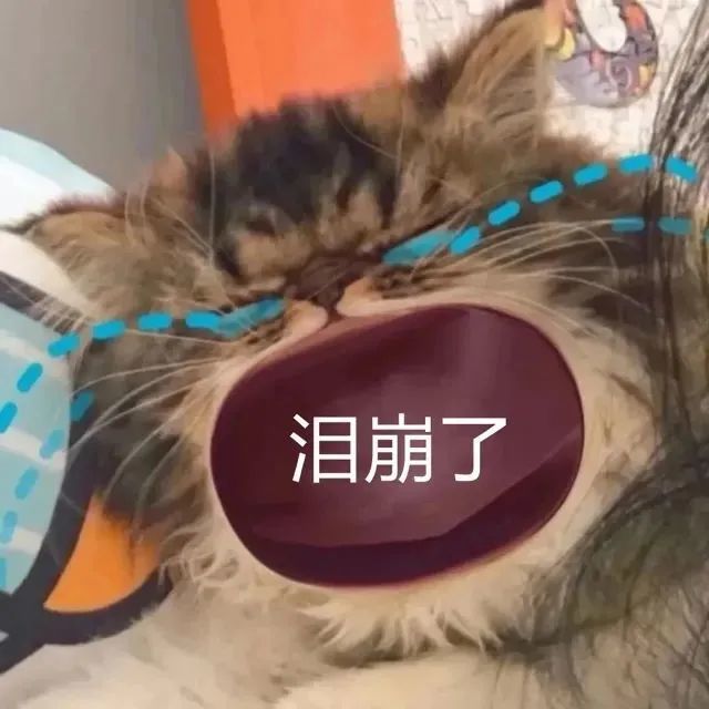 猫咪张大嘴哭表情包