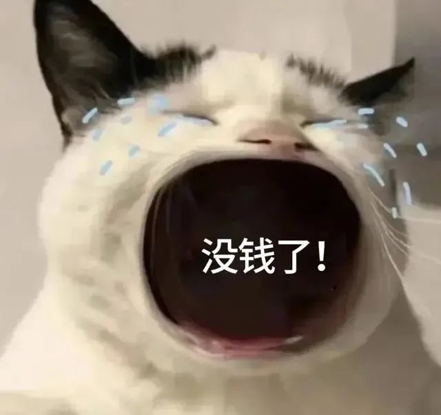 猫咪张大嘴哭表情包