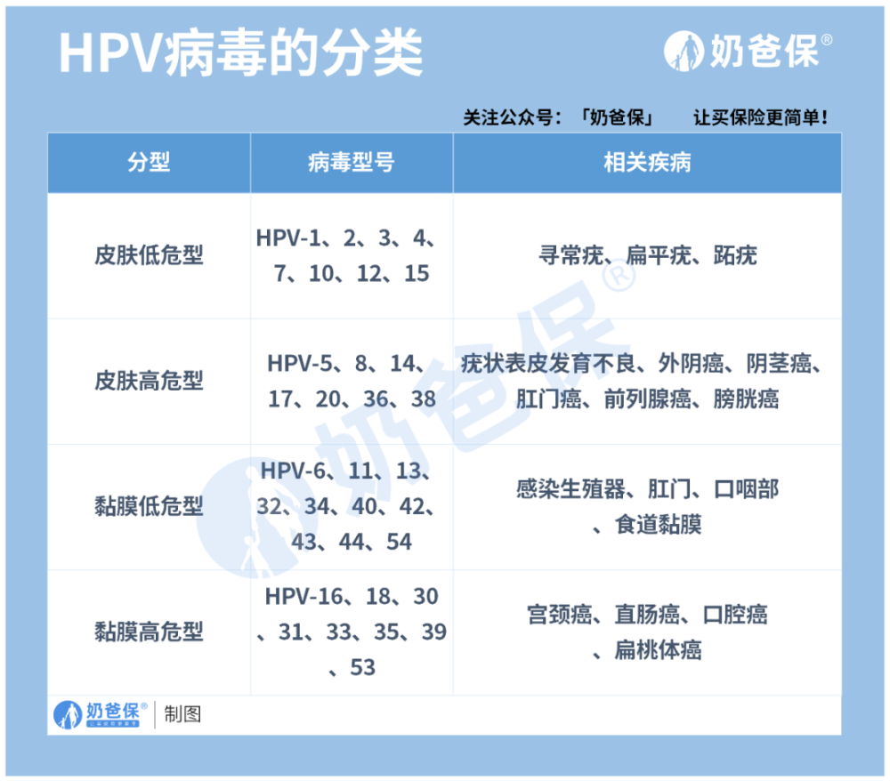 100 多种分型,临床上根据 hpv 的致癌性,将其分为 低危型和高危型两种