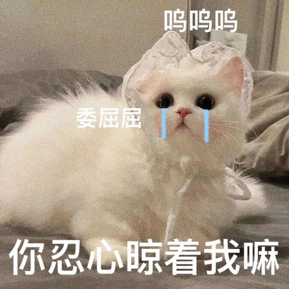 爸宝女妈宝男老婆奴老公奴表情包