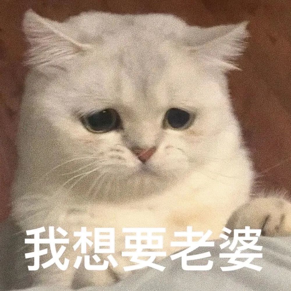 爸宝女妈宝男老婆奴老公奴表情包