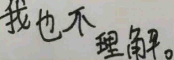 小学生文字表情包:我不理解