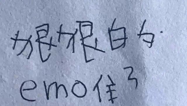 小学生文字表情包我不理解