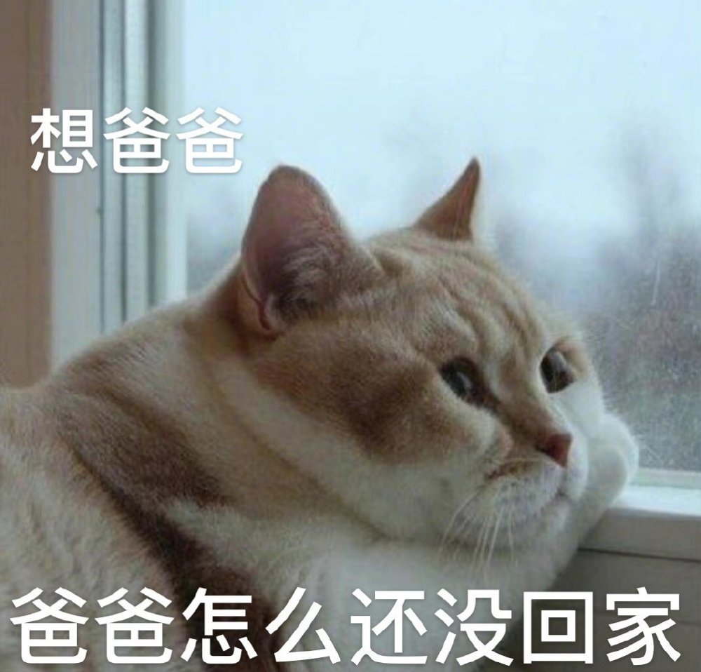 爸宝表情包也来了