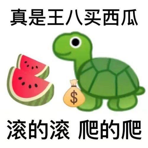 歇后语表情包:真是王八买西瓜