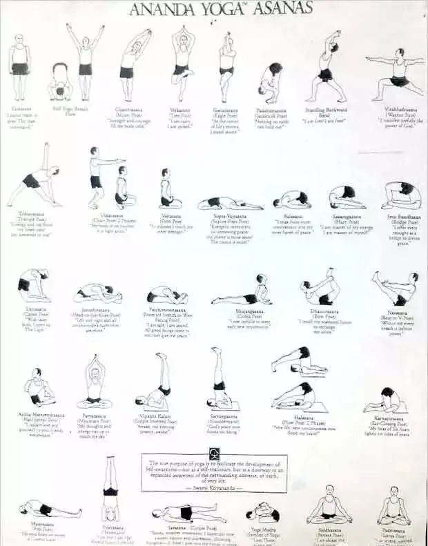 史上最全13个经典瑜伽流派体式序列图及简介瑜伽人赶紧收藏