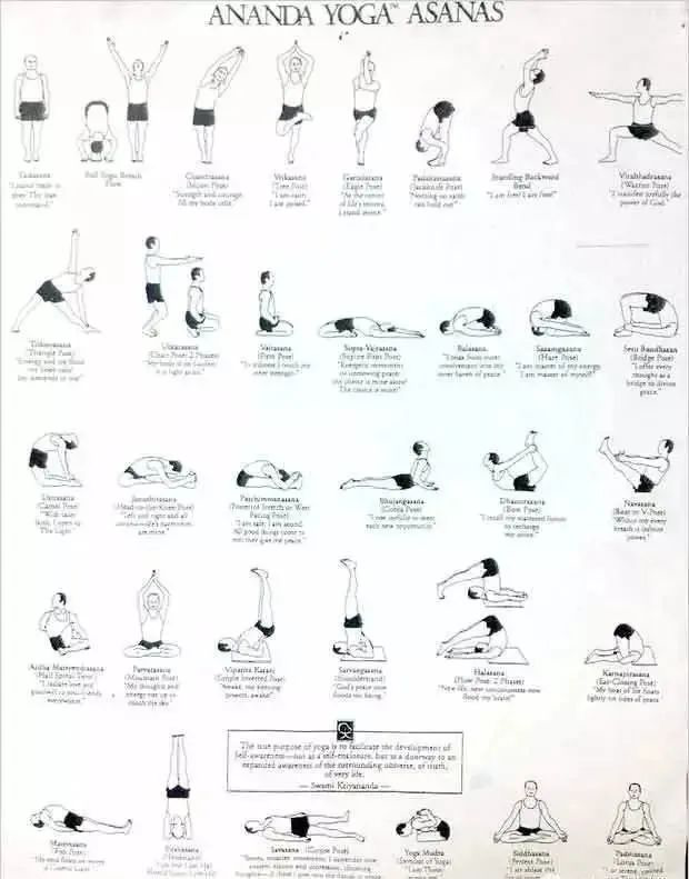 史上最全|13个经典瑜伽流派体式序列图及简介,瑜伽人
