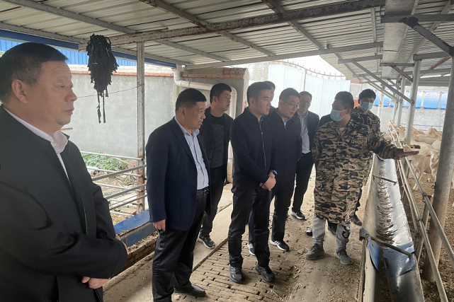 沈丘县长余长坤到赵德营镇,干啥去了?