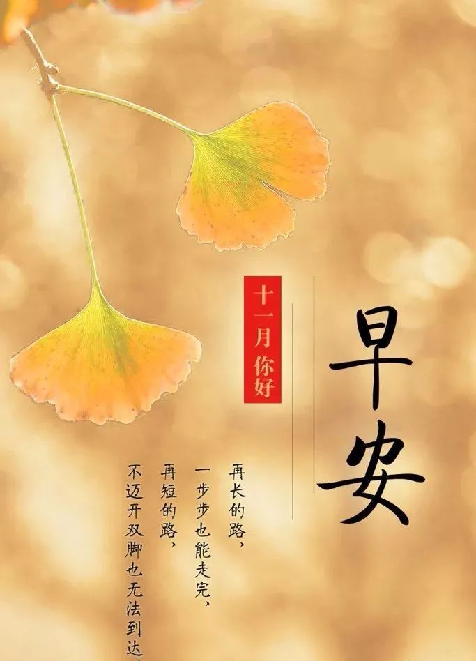 十月再见冬月月你好的句子10月再见十一月你好的壁纸图片