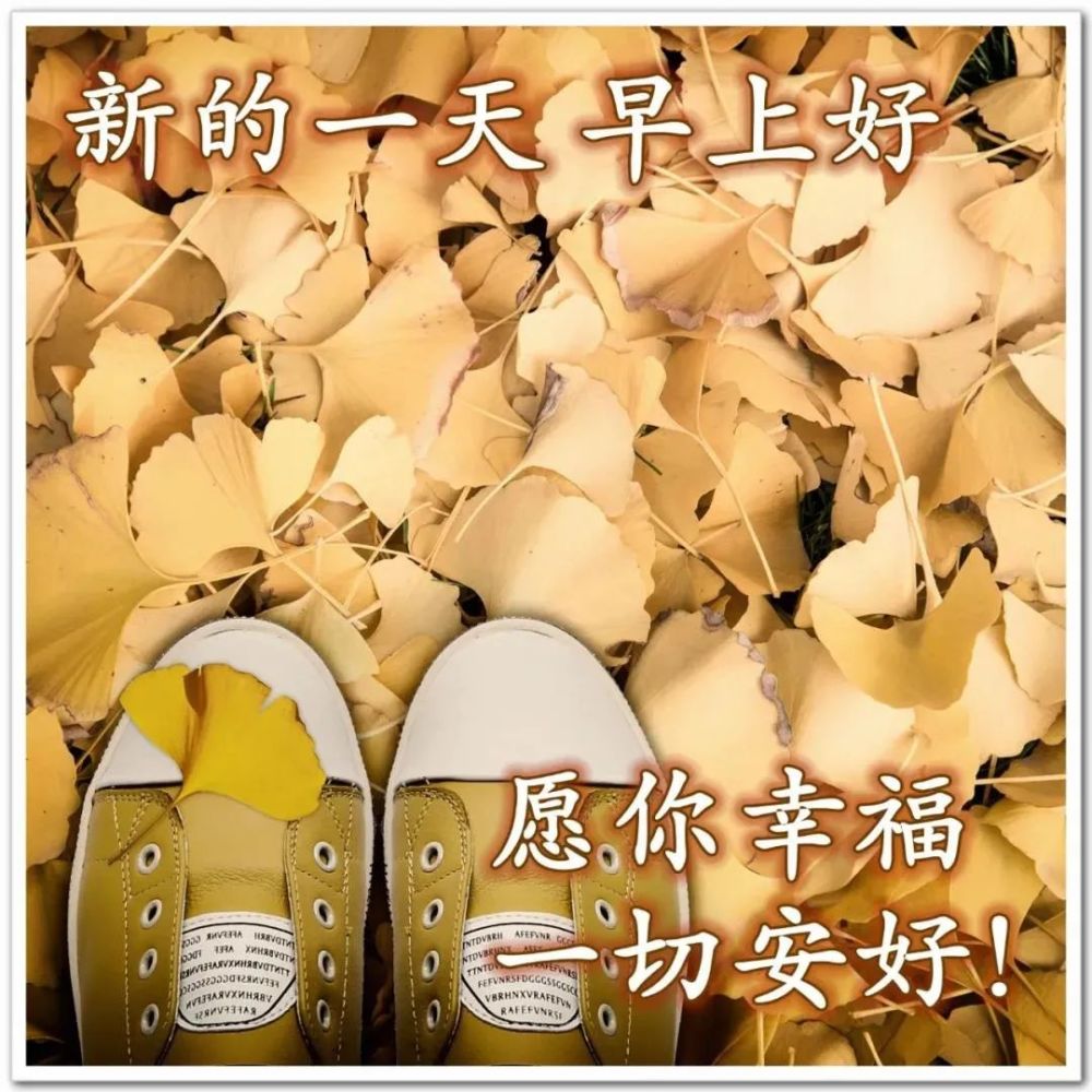 8张最美秋天风景问候大家早上好图片带字带祝福语漂亮秋日天冷了关心