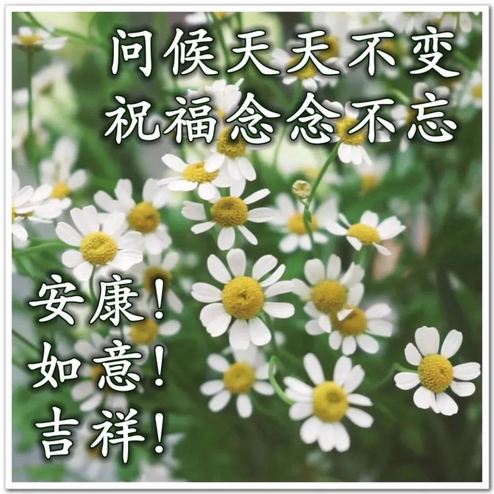 8张最美秋天风景问候大家早上好图片带字带祝福语漂亮秋日天冷了关心