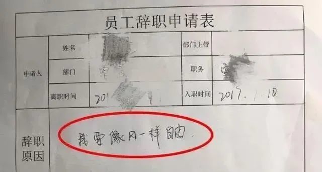 95后大学生辞职信火了理由简单且硬核老板看后也只能忍气吞声