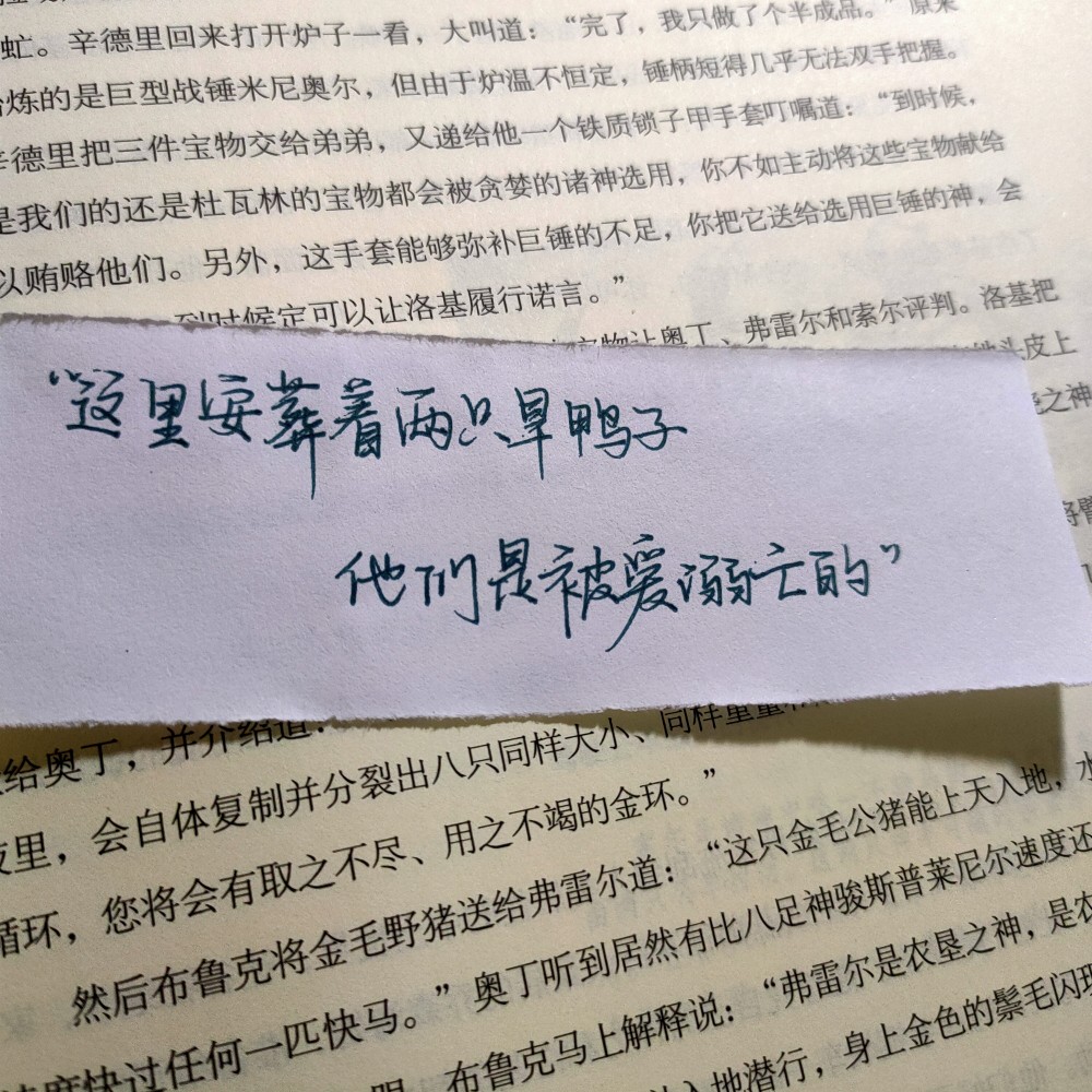 背景图陈铭生我来找你了