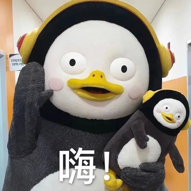 企鹅表情包合集