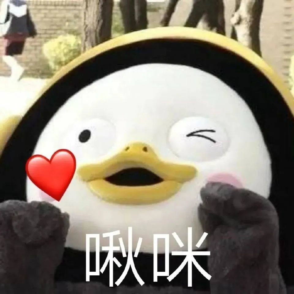 企鹅表情包合集