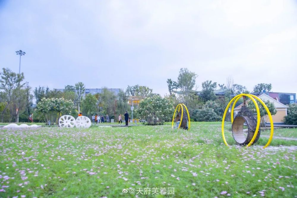 天府芙蓉园|只有游了芙蓉园,才更懂得成都为什么又叫芙蓉城