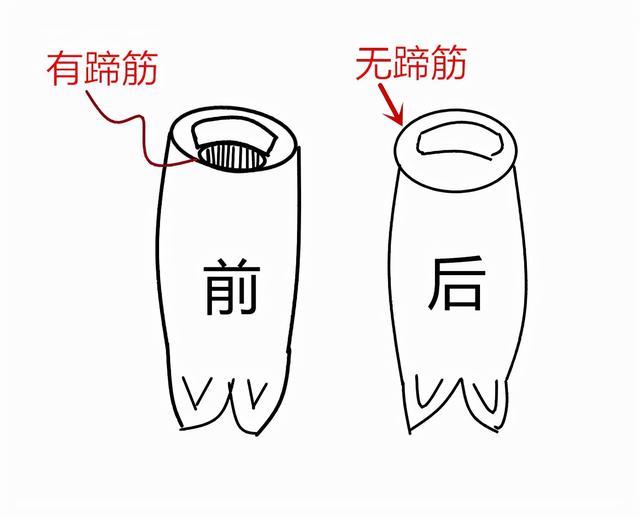 猪的前蹄与后蹄怎么区分?口感差别大,牢记4点不同,别买错了