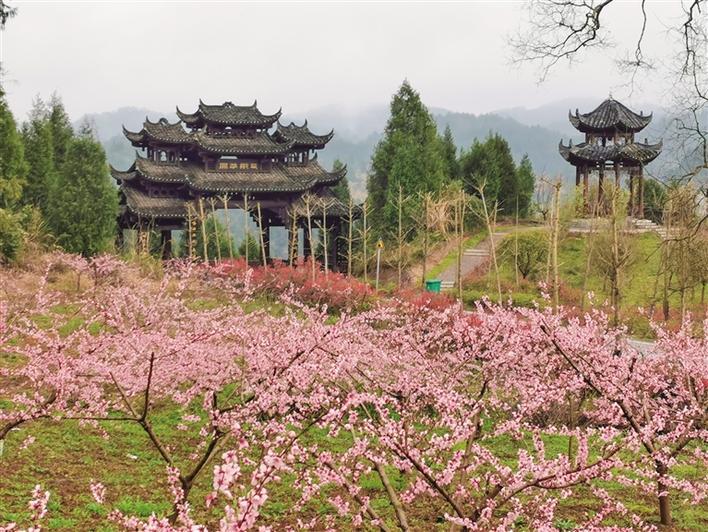 西那司水木明瑟花芬芳