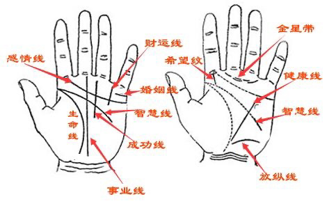 钱财纹也称为理财纹,是指在小指和无名指中间下面很多细细的斜线,如果