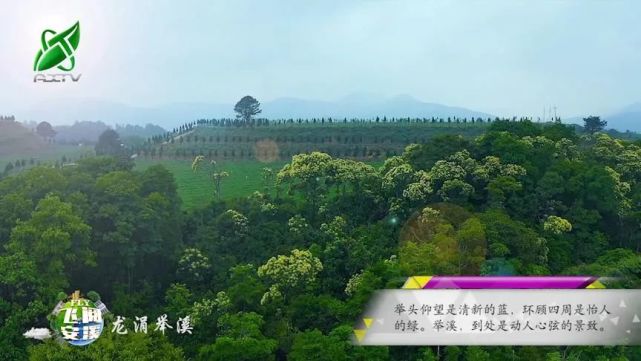 探寻福建传统村落:龙涓举溪|安溪县|茶园|龙涓乡|举溪|福建