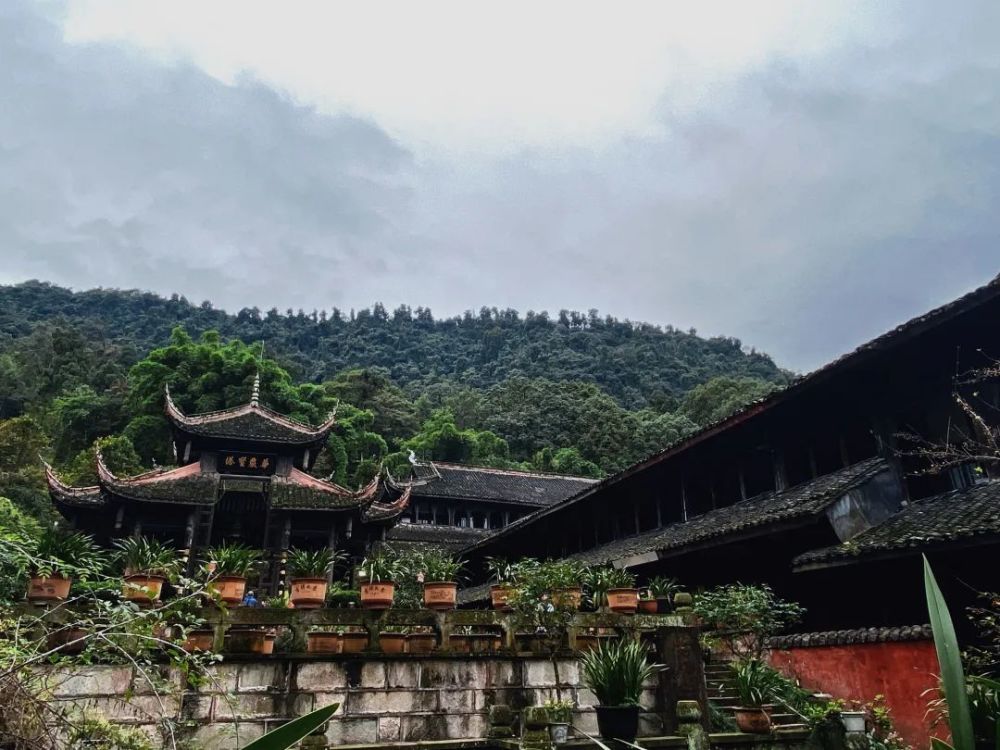 走进诗画峨眉山——伏虎寺