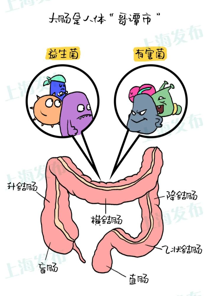 【医聊】术后康复有人快有人慢?关键在于肠道菌