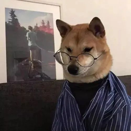 吸引目光第一名的憨憨头像30