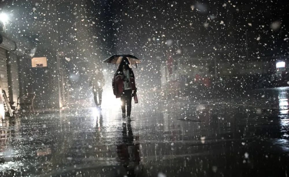 冷冷冷雨雪大风组合出击明晨大雾再起