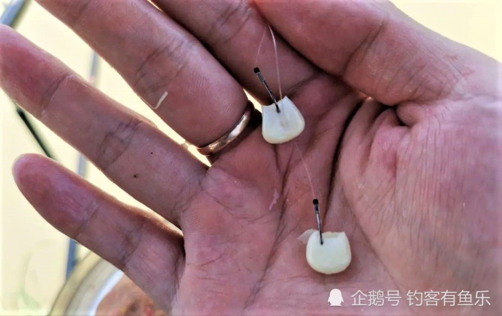 使用玉米钓鱼哪种挂法最好调平水钓两目调漂第一步是否先找底