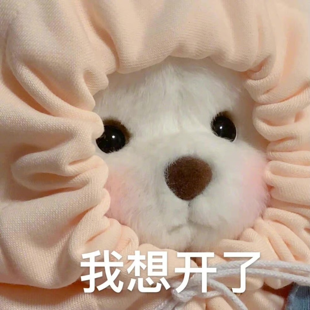 teddytales 莉娜熊呆萌搞怪表情包