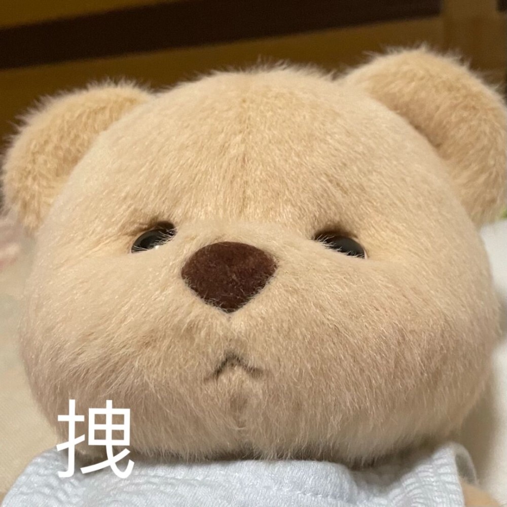 teddytales 莉娜熊呆萌搞怪表情包