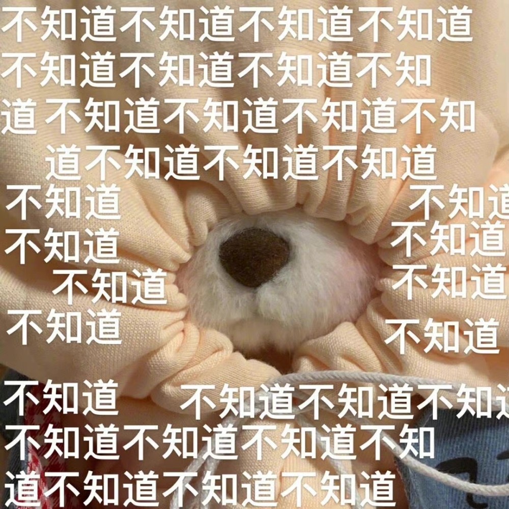 teddytales 莉娜熊呆萌搞怪表情包