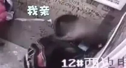 小学生电梯中疯狂接吻被提示有摄像头更猖狂网友世道变了
