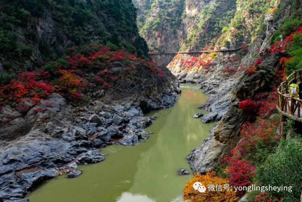 郑国渠多彩秋景