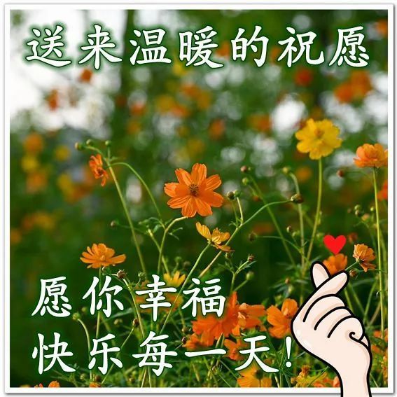 2021最美早上好动态图片大全早上好的温馨问候祝福语和图片分享