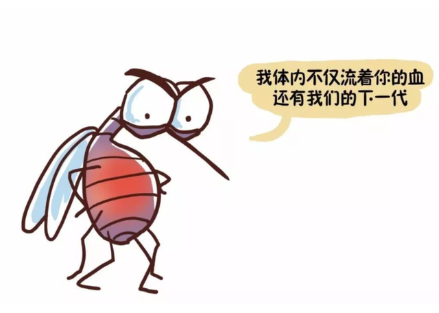 女人和儿童为何更容易招蚊子蚊子喜欢叮咬哪些人这6类要注意