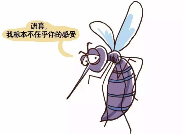 女人和儿童为何更容易招蚊子蚊子喜欢叮咬哪些人这6类要注意
