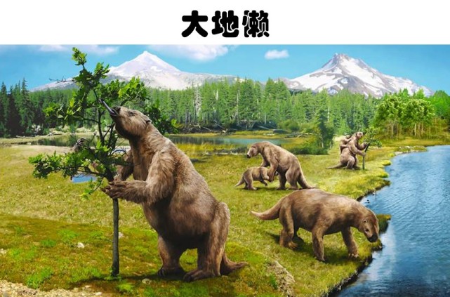 被怀疑依然存活于世界的5大史前动物,大地懒身高可达4