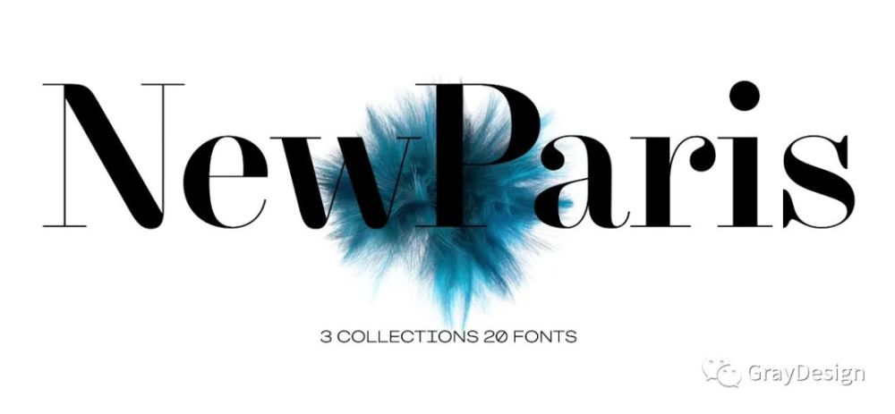 party设计,包括newparis text,newparis headline和newparis kingsize