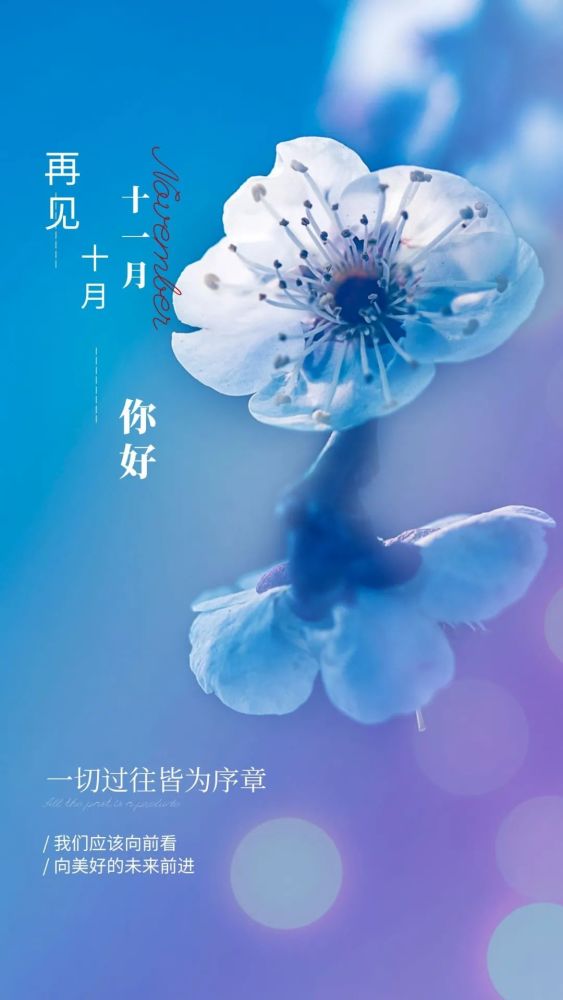 11月你好文案海报|愿岁月无恙,你我安好!