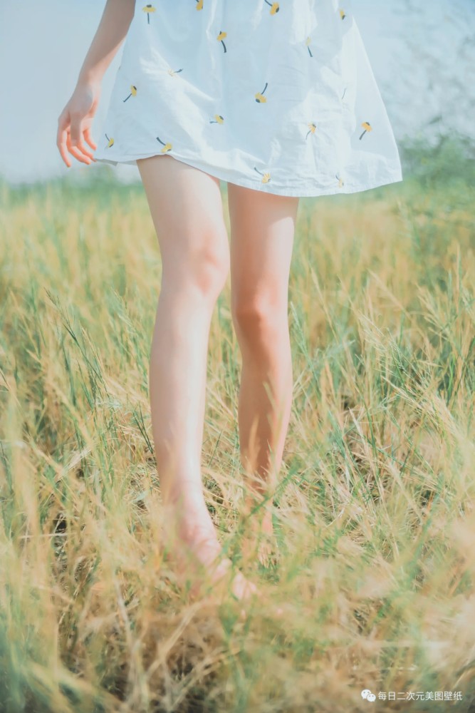 唯美女生丨田野风光