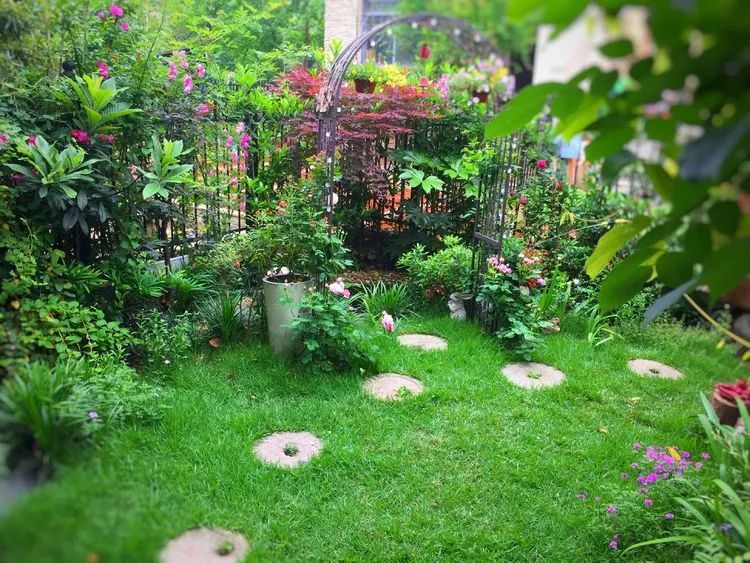 三年前买了这30㎡小院,亲手改造成小花园,在繁华都市过田园生活
