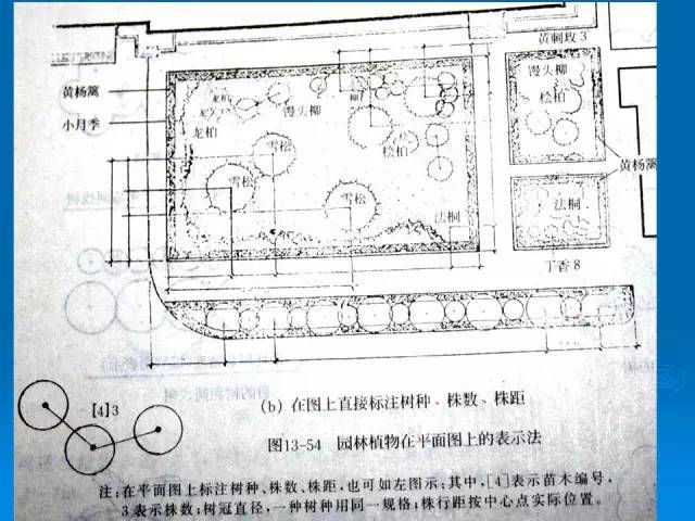 『干货』植物种植设计施工图