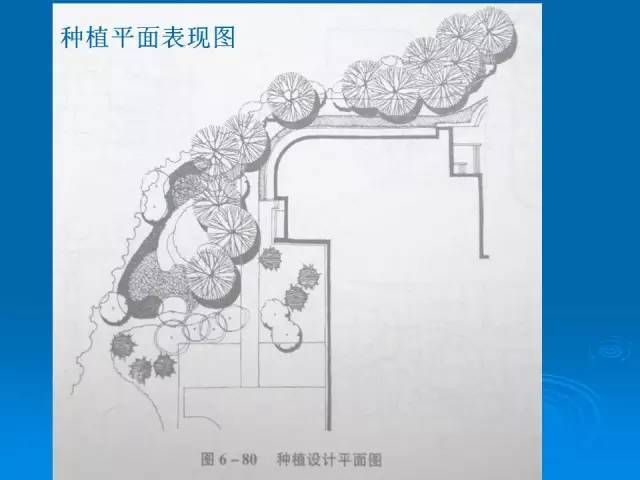 干货植物种植设计施工图