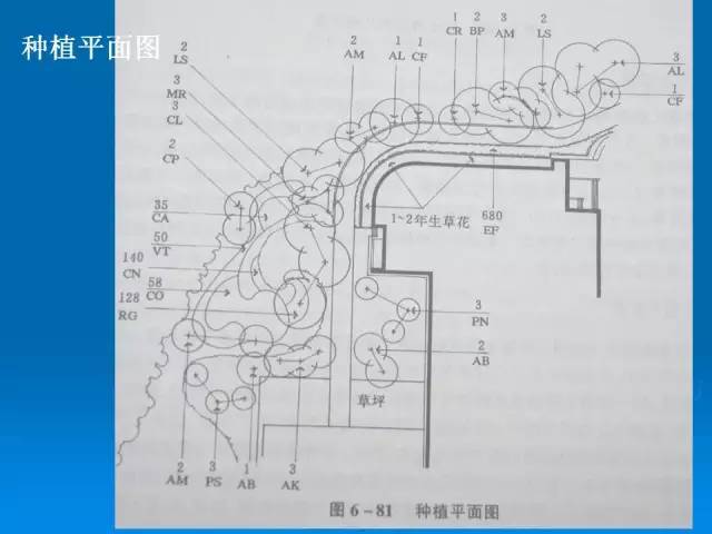 『干货』植物种植设计施工图